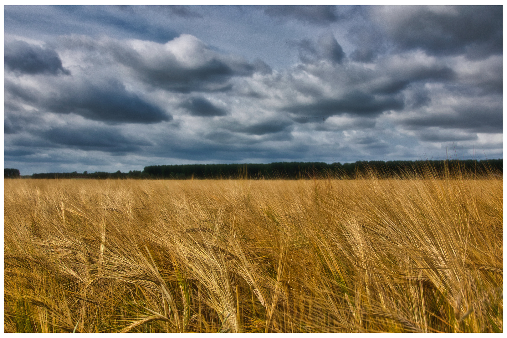 Juli-Wetter