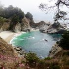 Julia Pfeiffer Burns State Park