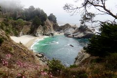 Julia Pfeiffer Burns State Park