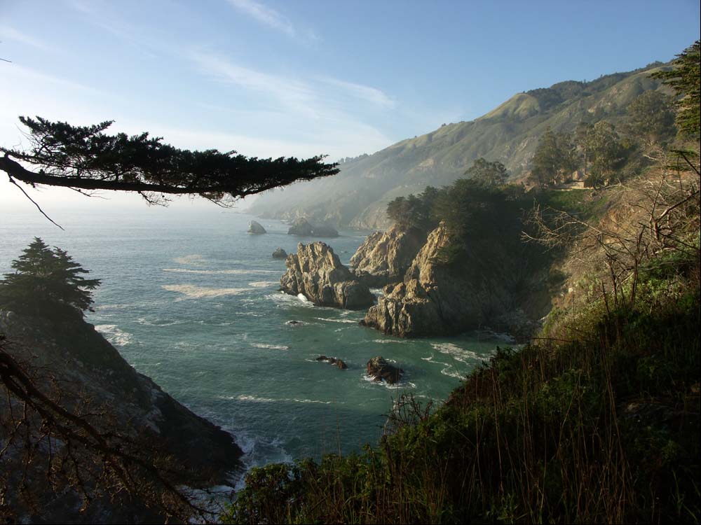 Julia Pfeiffer Burns State Park 3