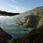 Julia Pfeiffer Burns State Park 3