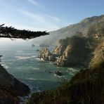 Julia Pfeiffer Burns State Park 3