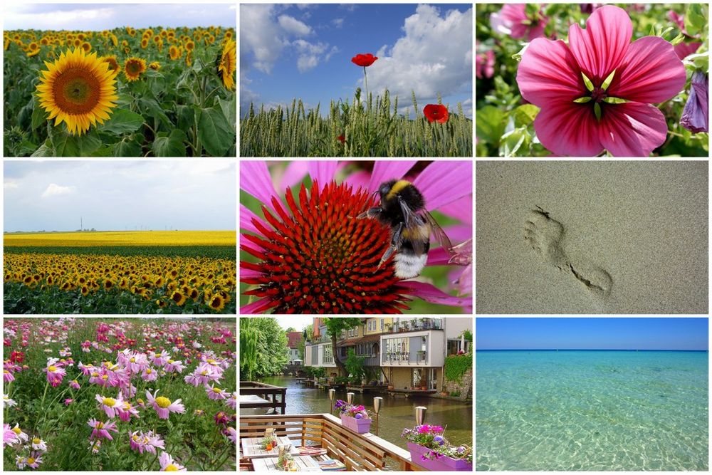 Julibilder Foto & Bild jahreszeiten, sommer, collagen Bilder auf