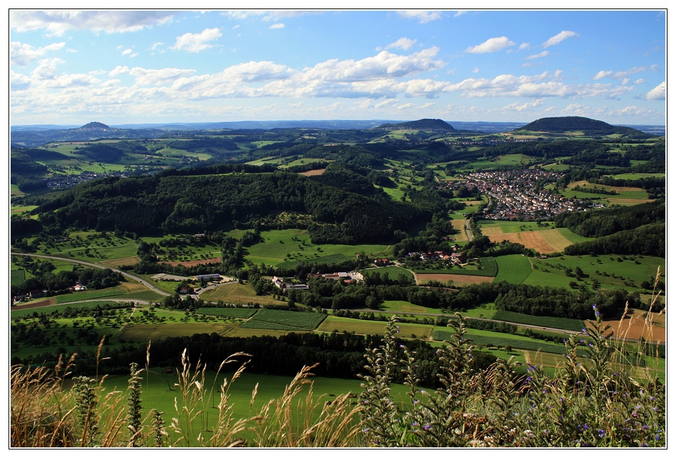 Juliblick vom Messelstein...