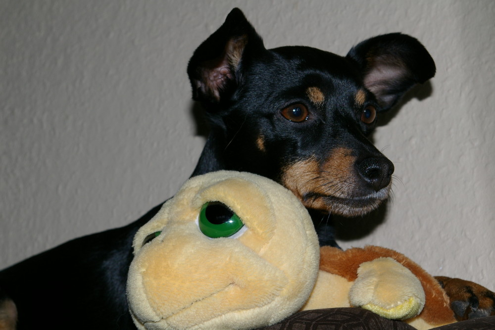 Julie mit ihrer Kuschelkröte