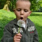 Julien mit Pusteblume ;-)