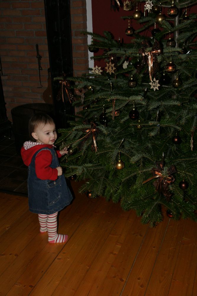 Julietta und unser Weihnachtsbaum
