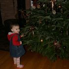 Julietta und unser Weihnachtsbaum