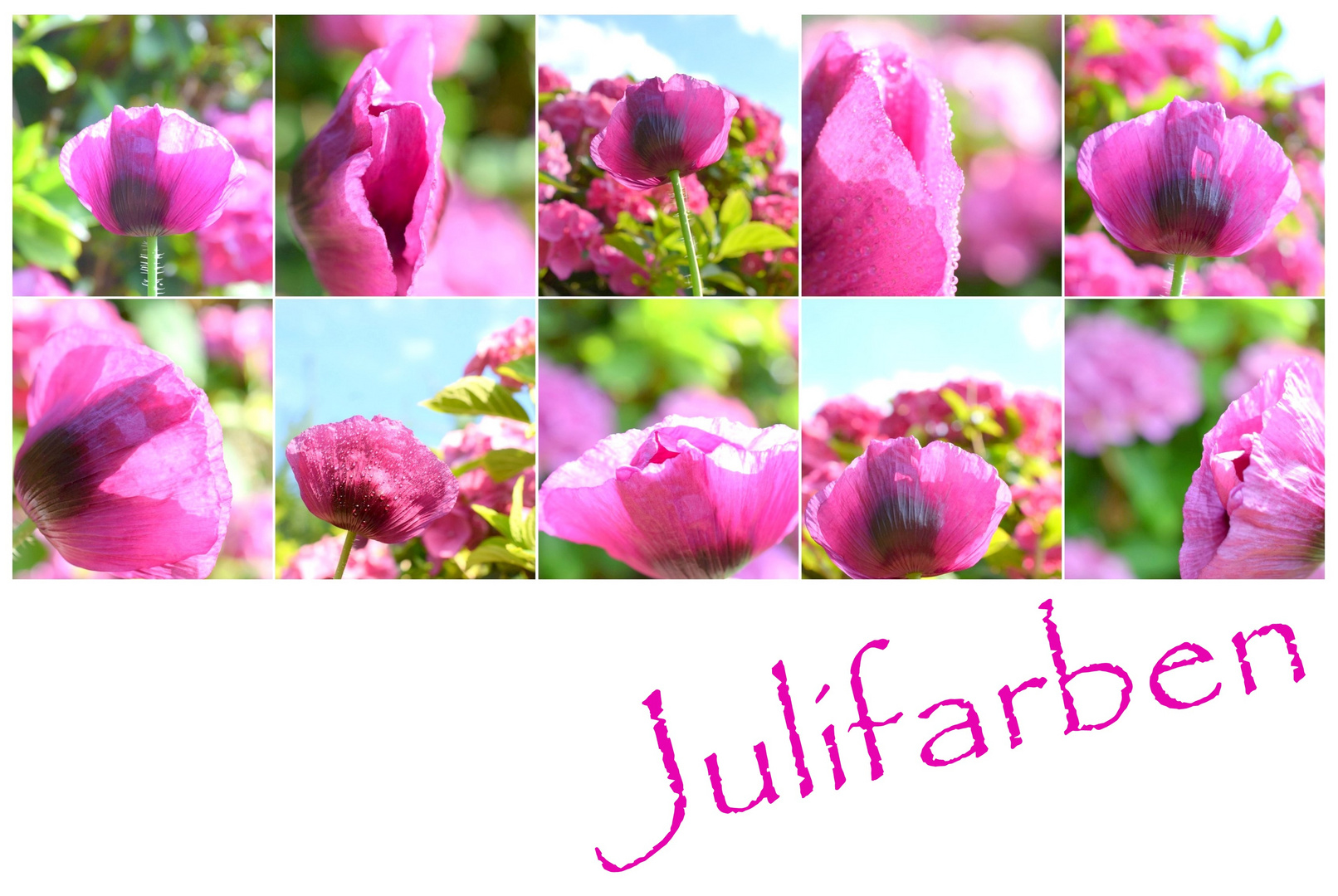 Julifarben 20