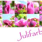 Julifarben 20