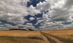 Julitage im Erzgebirge