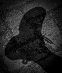 July 2012 Monthly Theme - Shadow