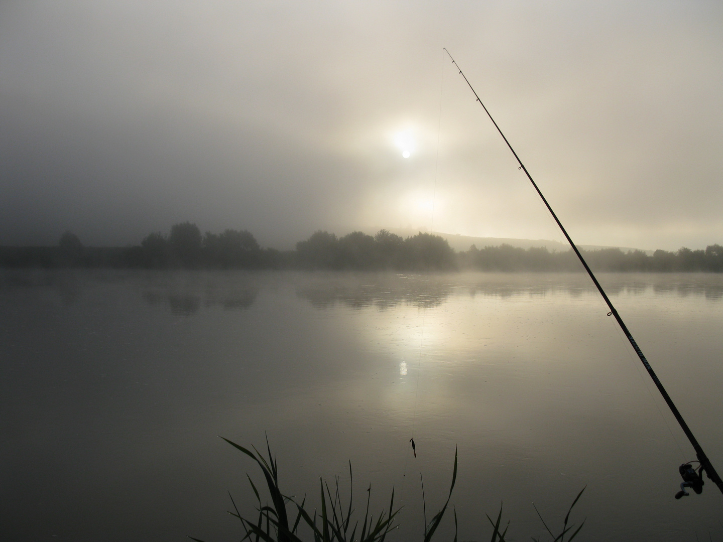 July Morning