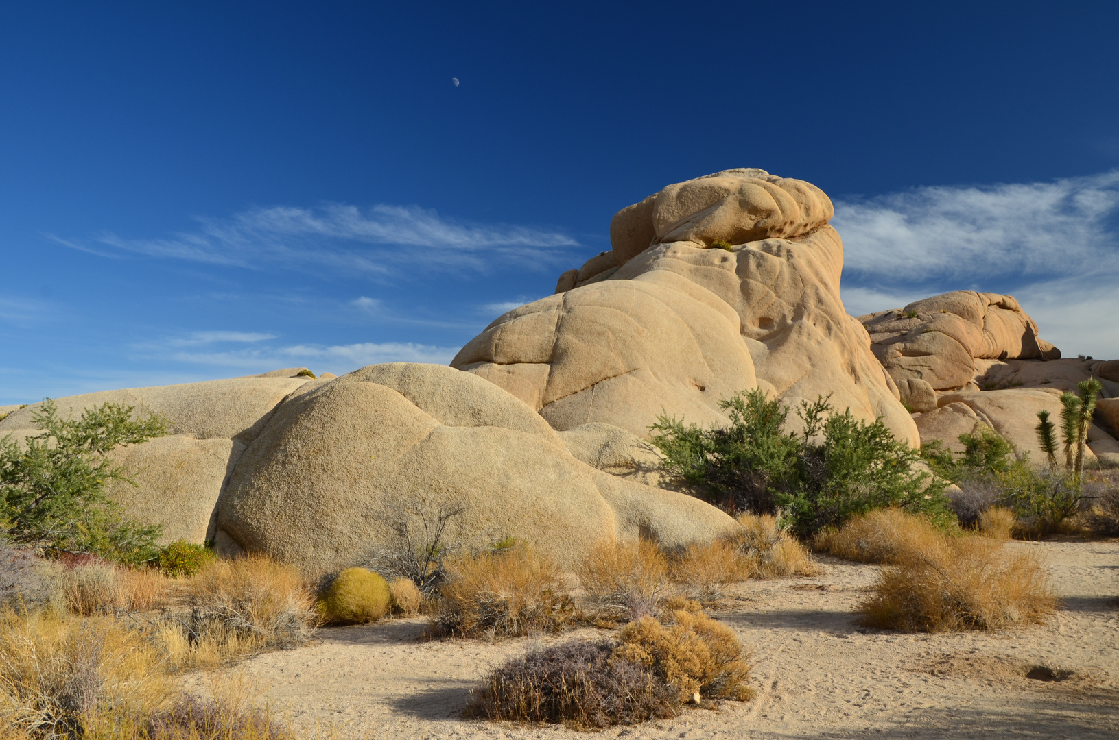 Jumbo Rocks (Joshua Tree Nationalpark)