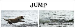 ***JUMP***