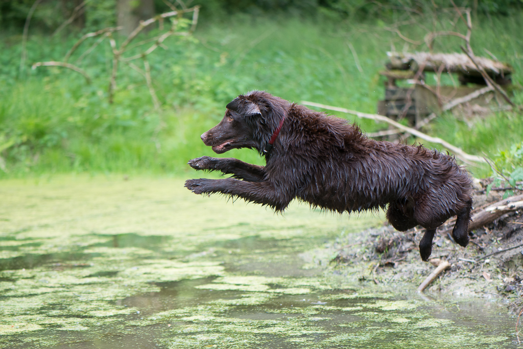 jump!