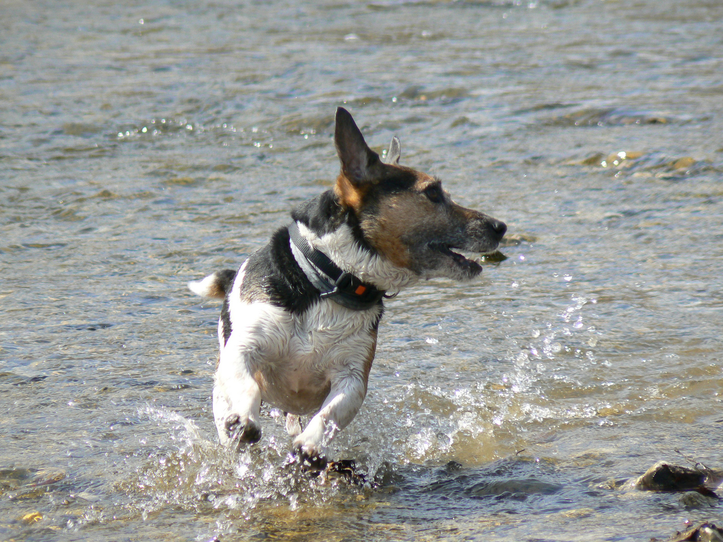 Jump durchs Wasser