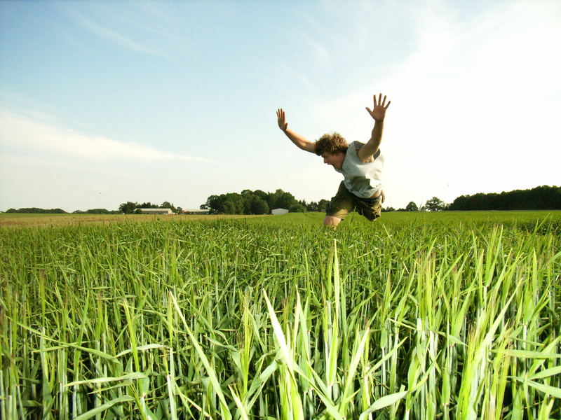 Jump HIGH over GREEN