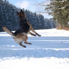 Jump im Schnee