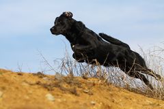 Jump in den Frühling