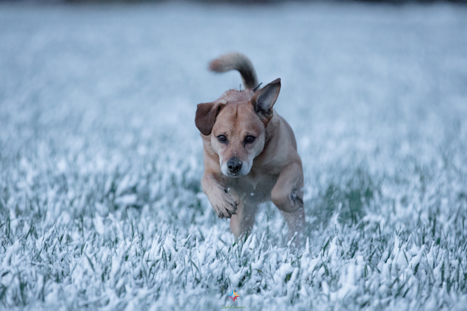 Jump on snow