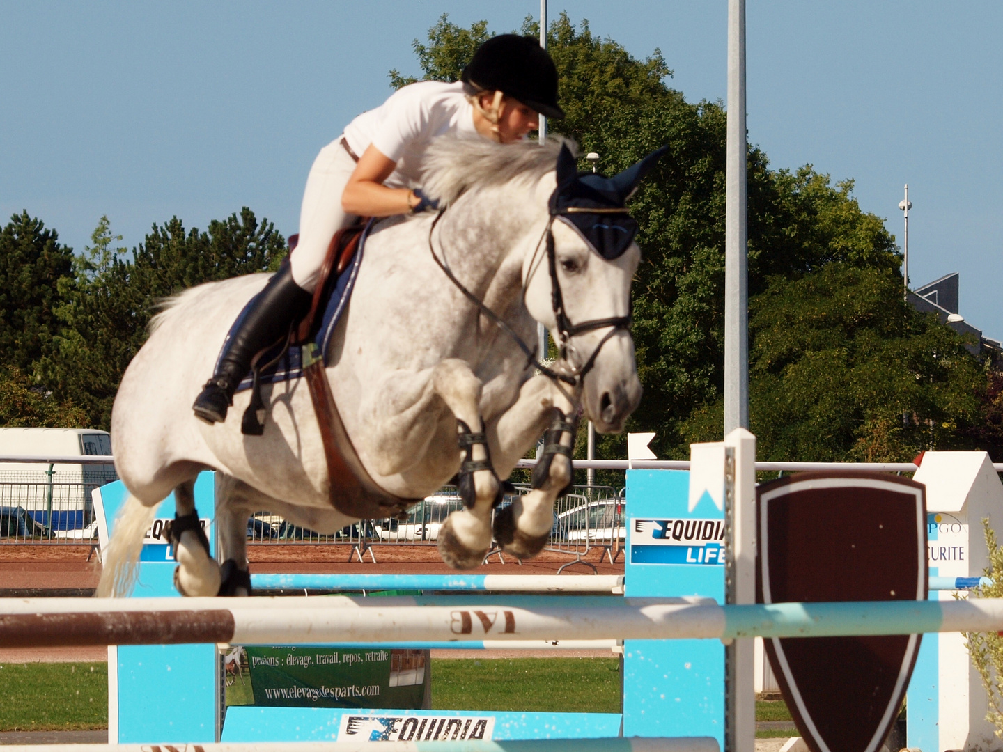 Jumping 2012 de Cabourg (14)