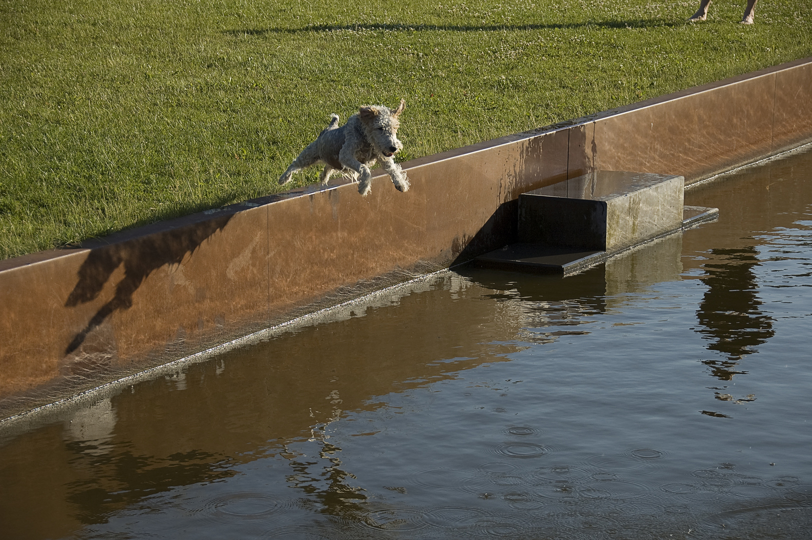 jumping