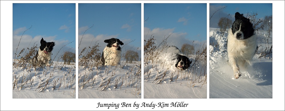 Jumping Ben