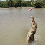 Jumping Crocodile