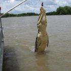 Jumping Crocodile am Adelaide River