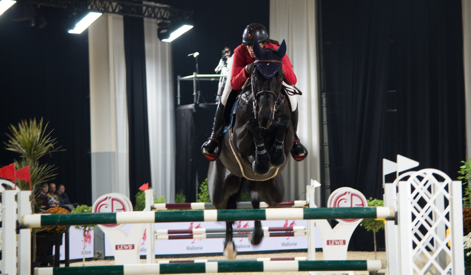 Jumping de Liège 11-2019