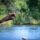 Jumping Mom