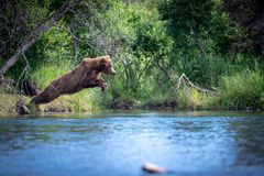 Jumping Mom