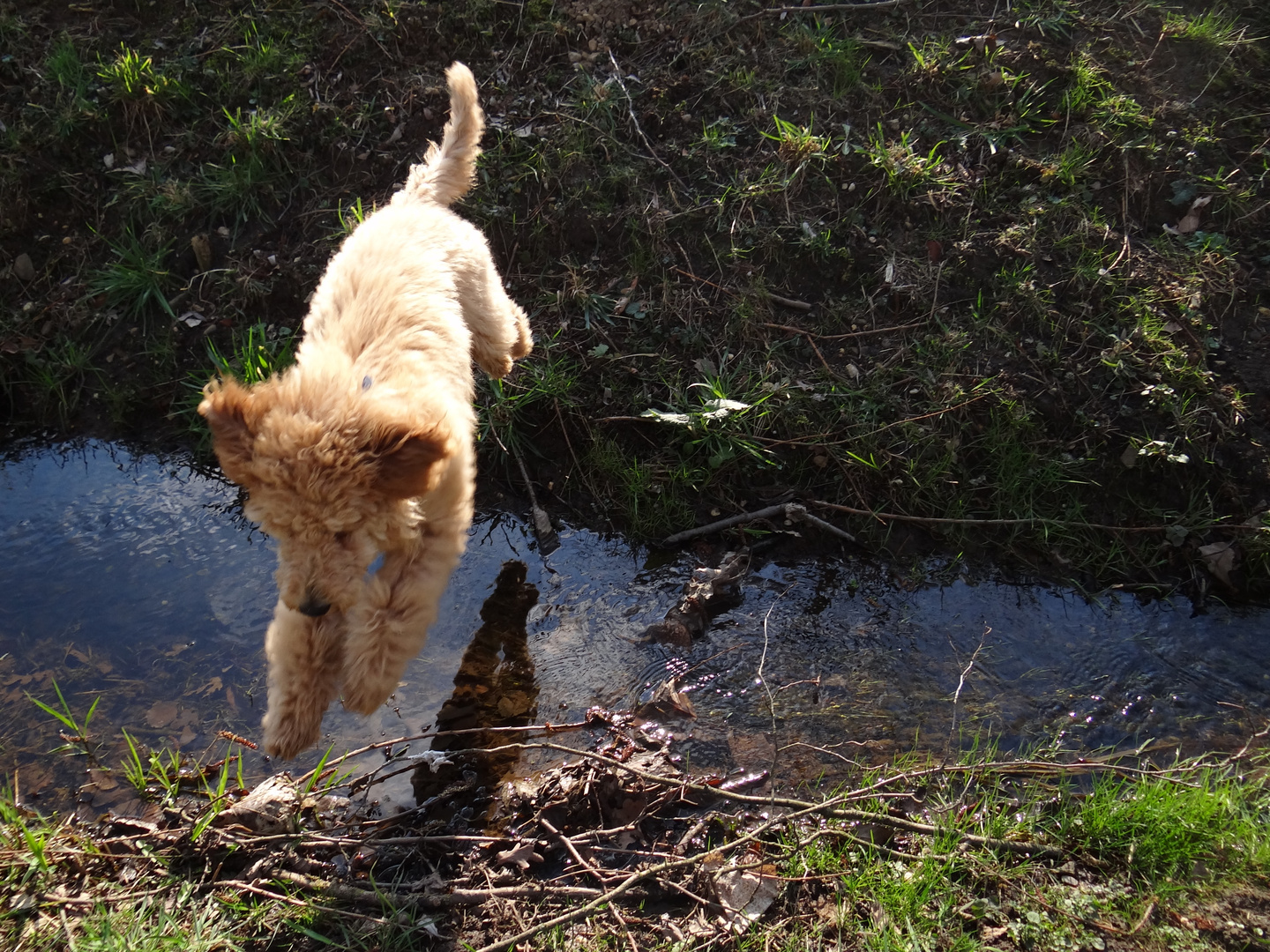 Jumping over the stream! :D