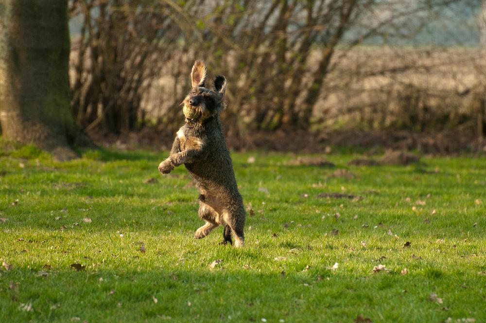 Jumping over the World