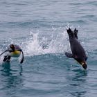 Jumping penguins