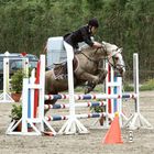 Jumping Poney