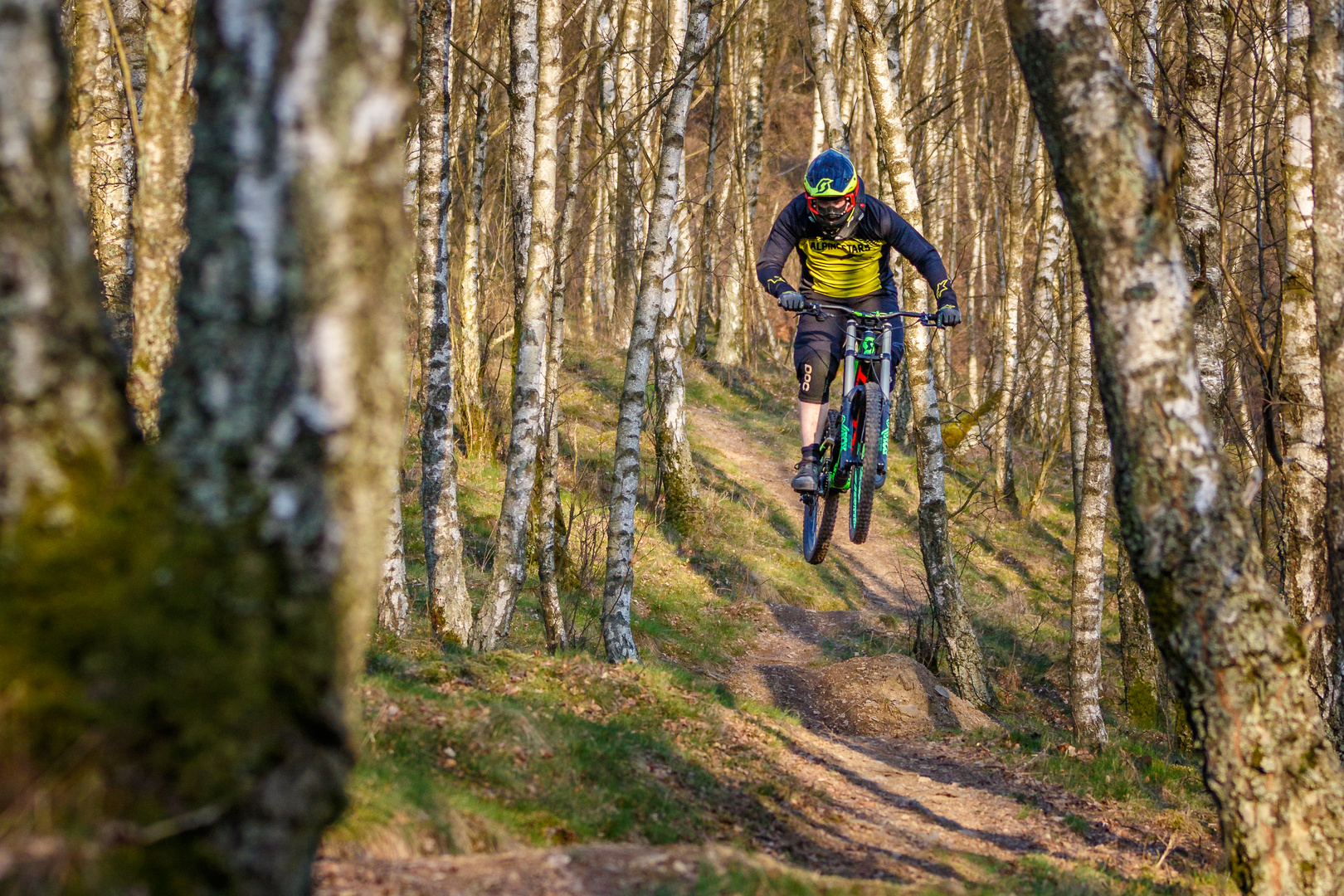 Jumping through the Forest