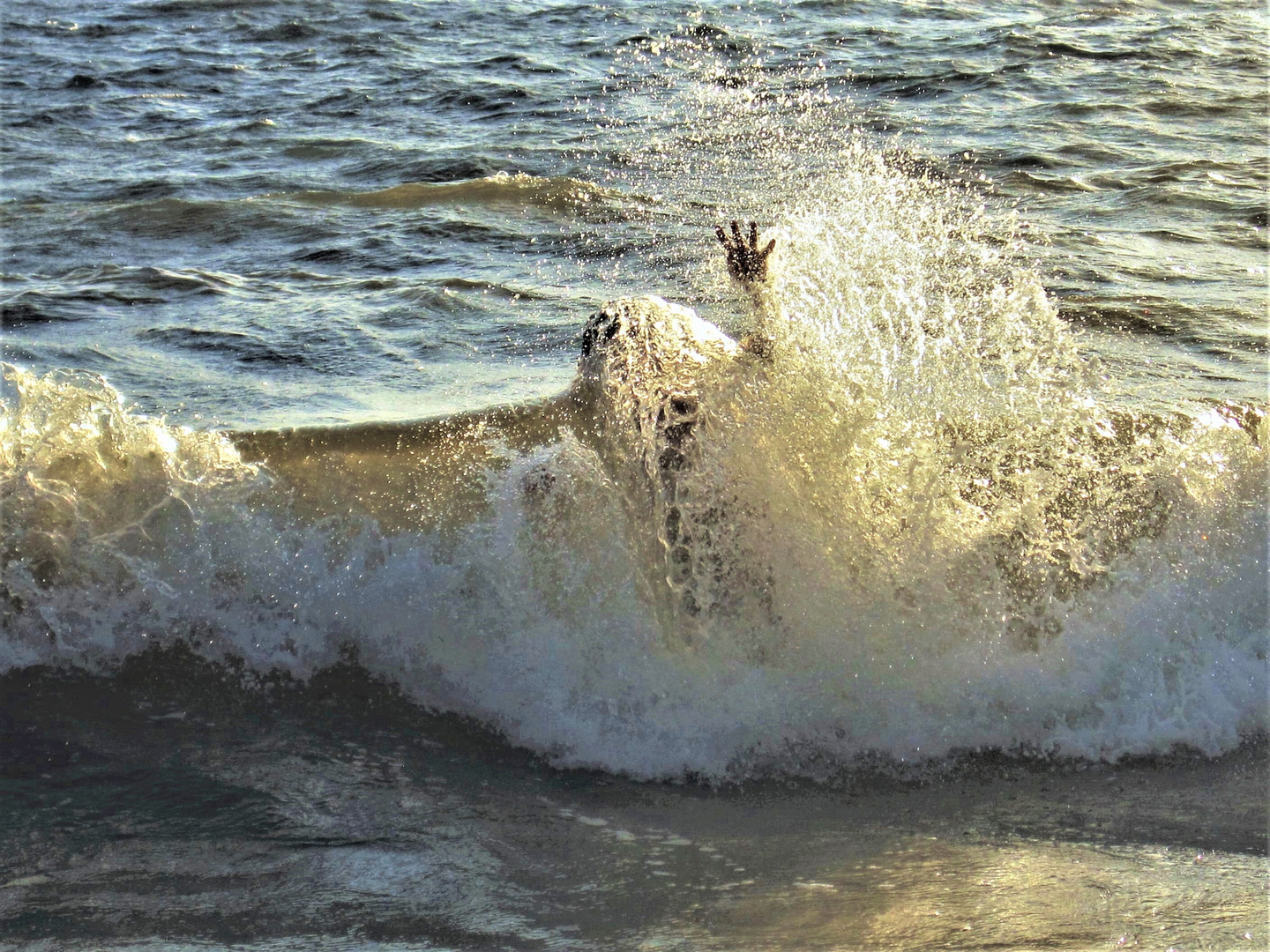 Jumping with waves - Florida Ostküste 