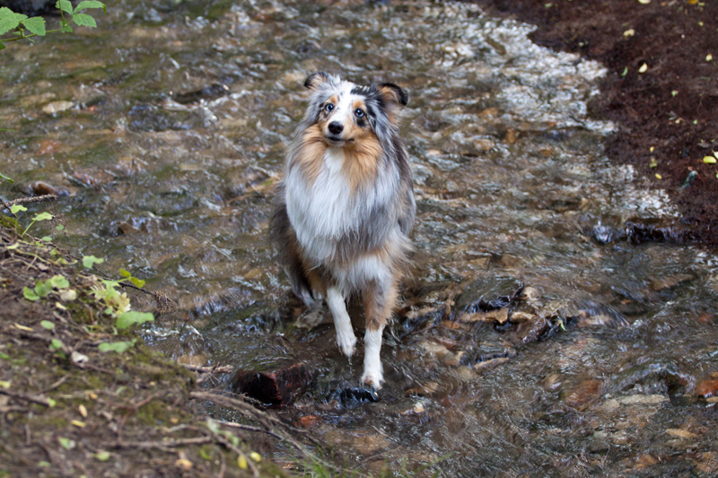 Juna gefangen im Bach