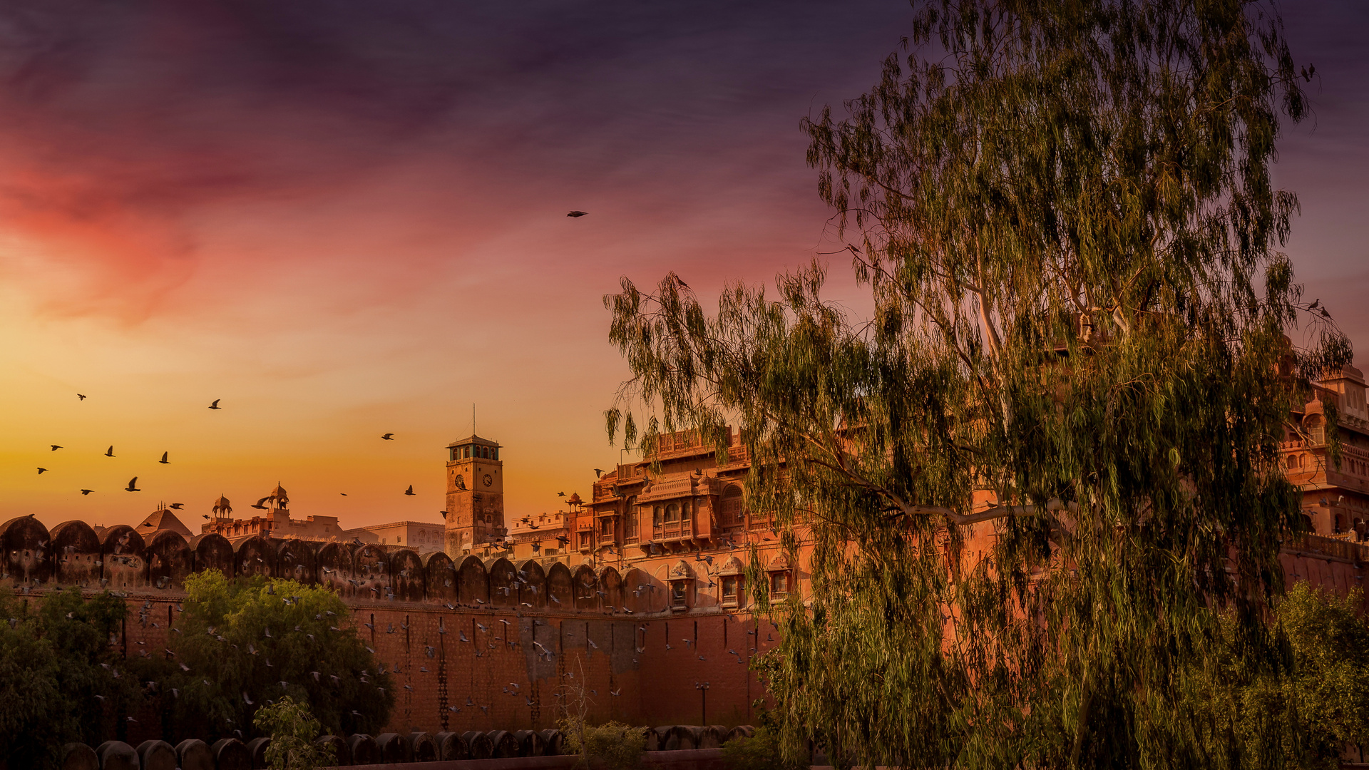 Junagarh Fort Bikaner-Indien....II