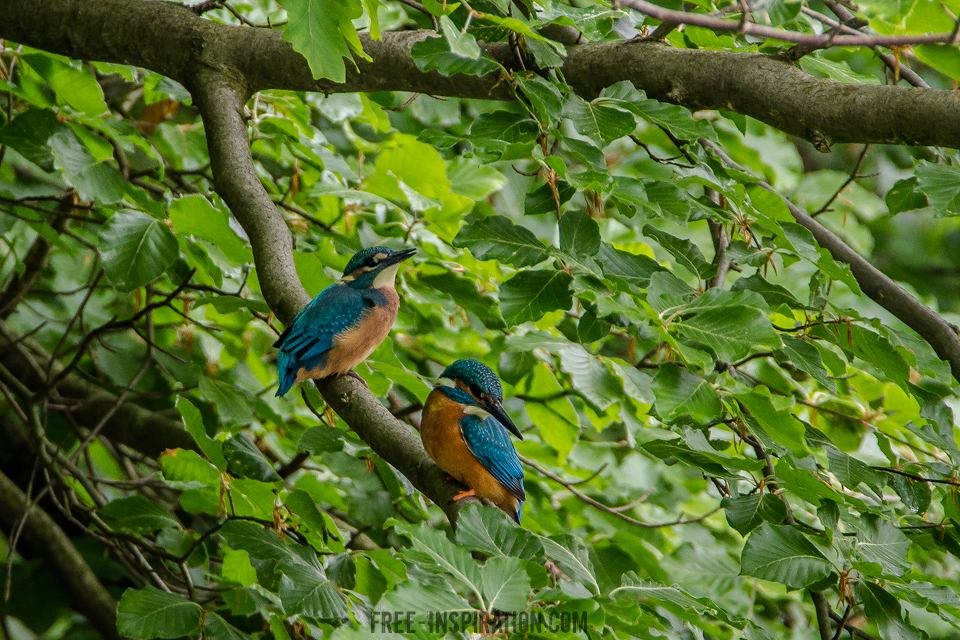 Alt, Feucht Und Wild Alt, Feucht Und Wild