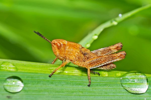 Jung und unerfahren...