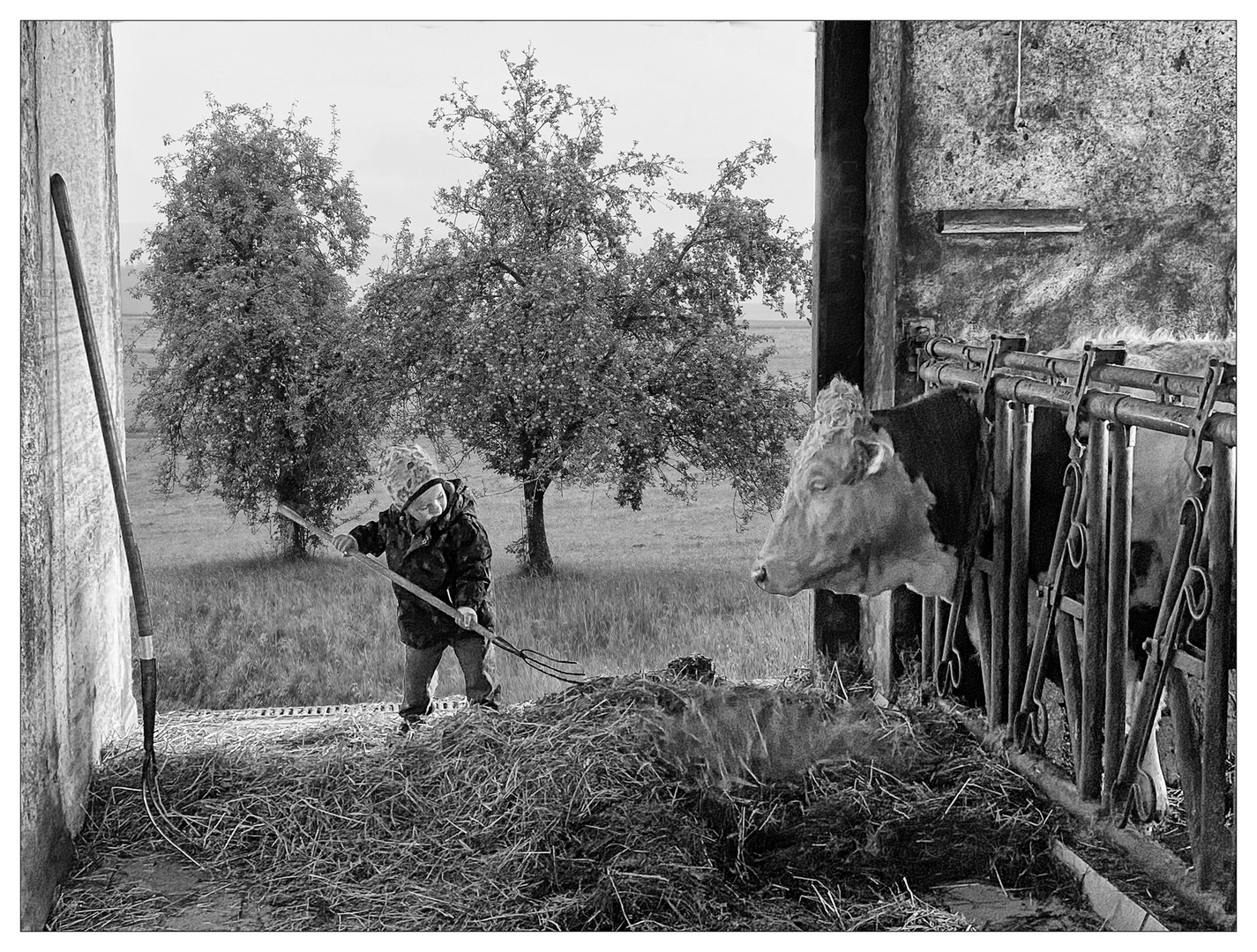 Jungbauer Foto & Bild kinder, portraits, menschen Bilder auf