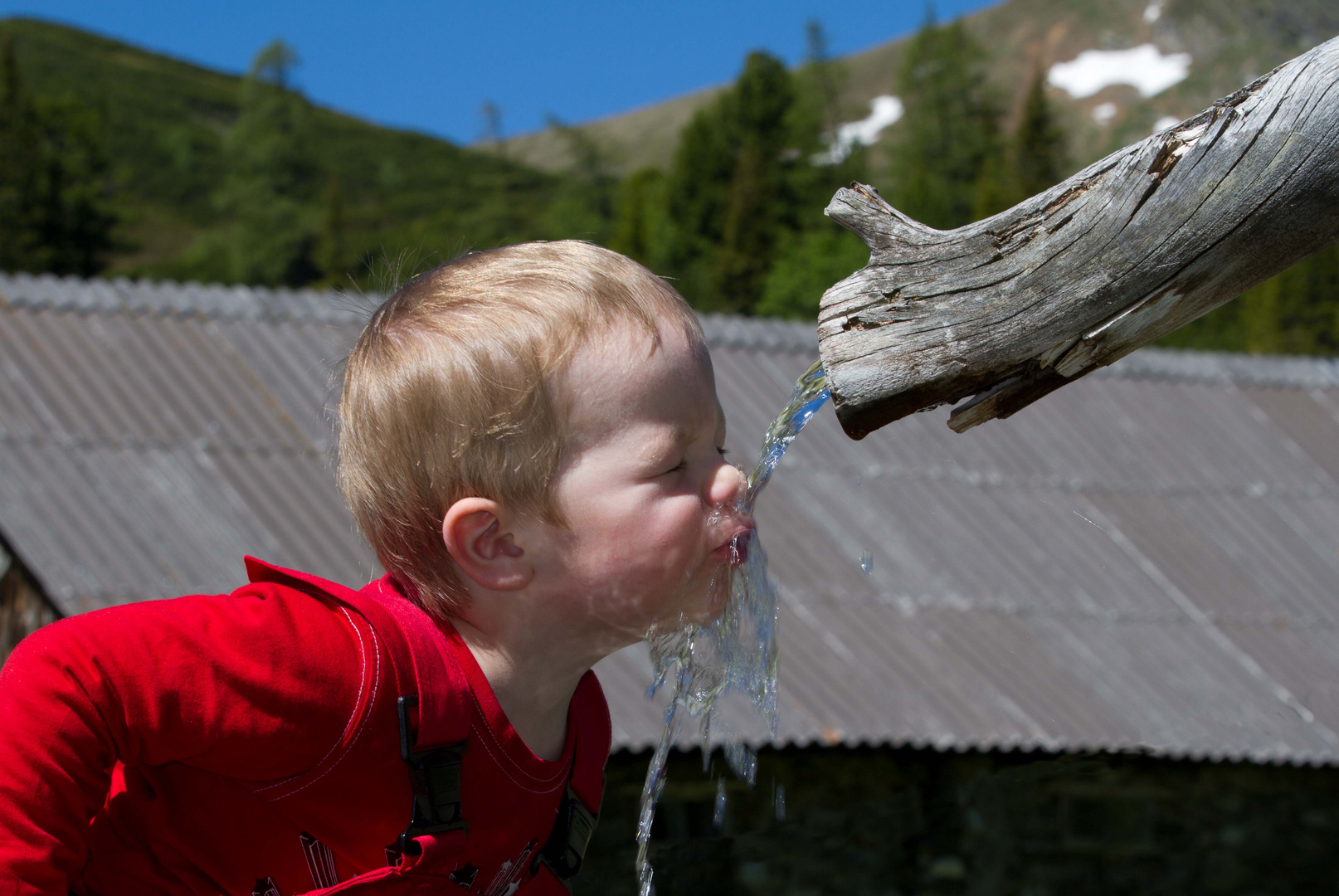 Jungbrunnen