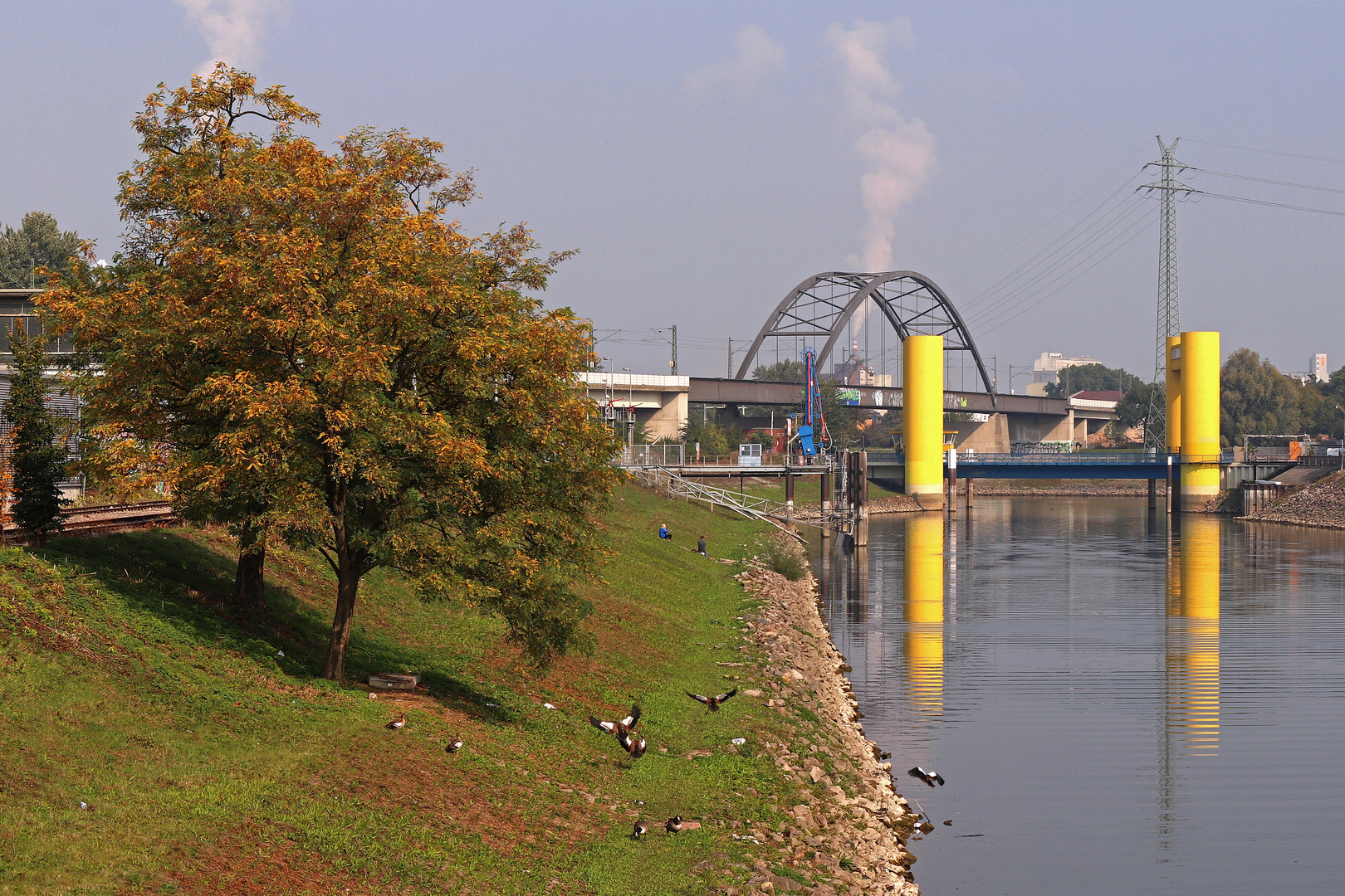 Jungbusch - Mannheim 7