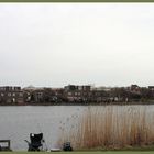 Junge Angler in Newcastle upon Tyne, England