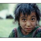 Junge aus dem Markha Valley, Ladakh, Indien