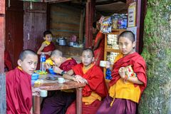 Junge buddhistische Mönche...
