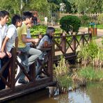 Junge Chinesen beobachten Enten im Park